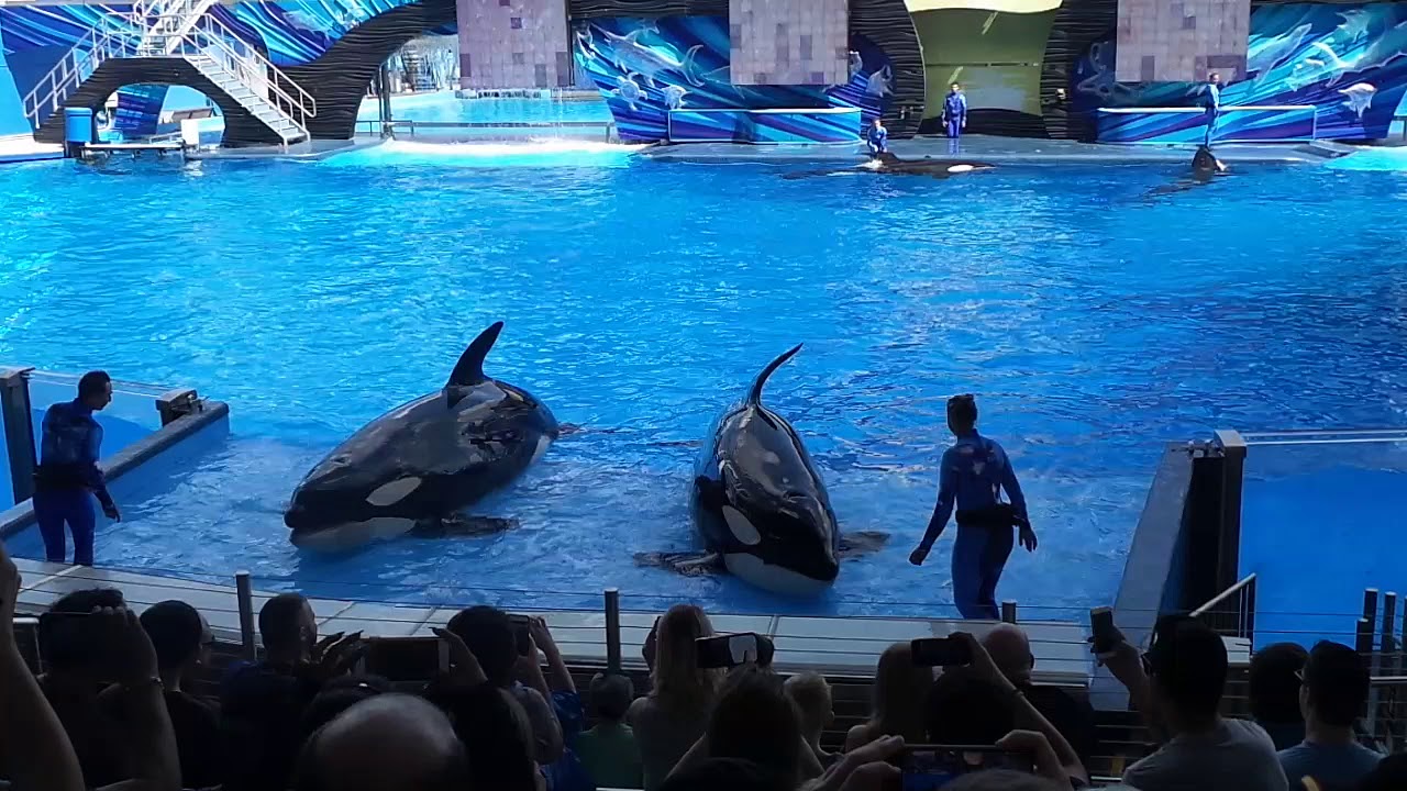 SeaWorld Orlando - 