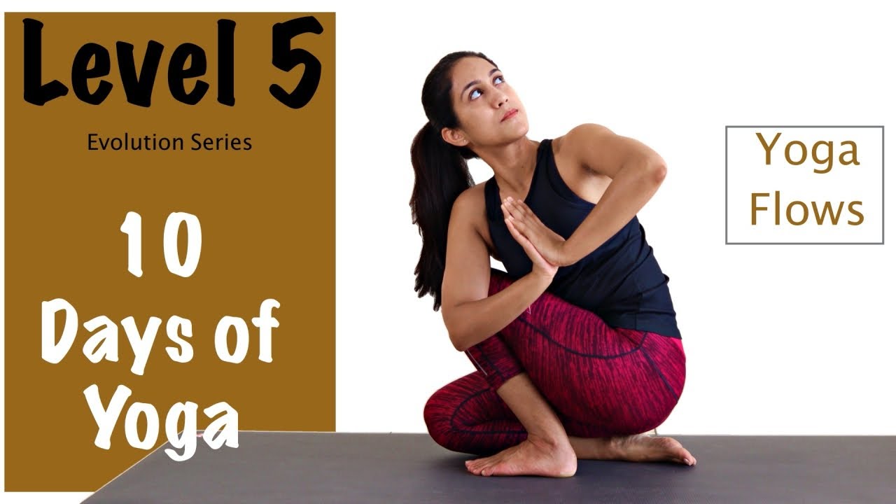 Level 5 - Yoga for Beginners- Yoga Flows - Evolution Series - Yogbela