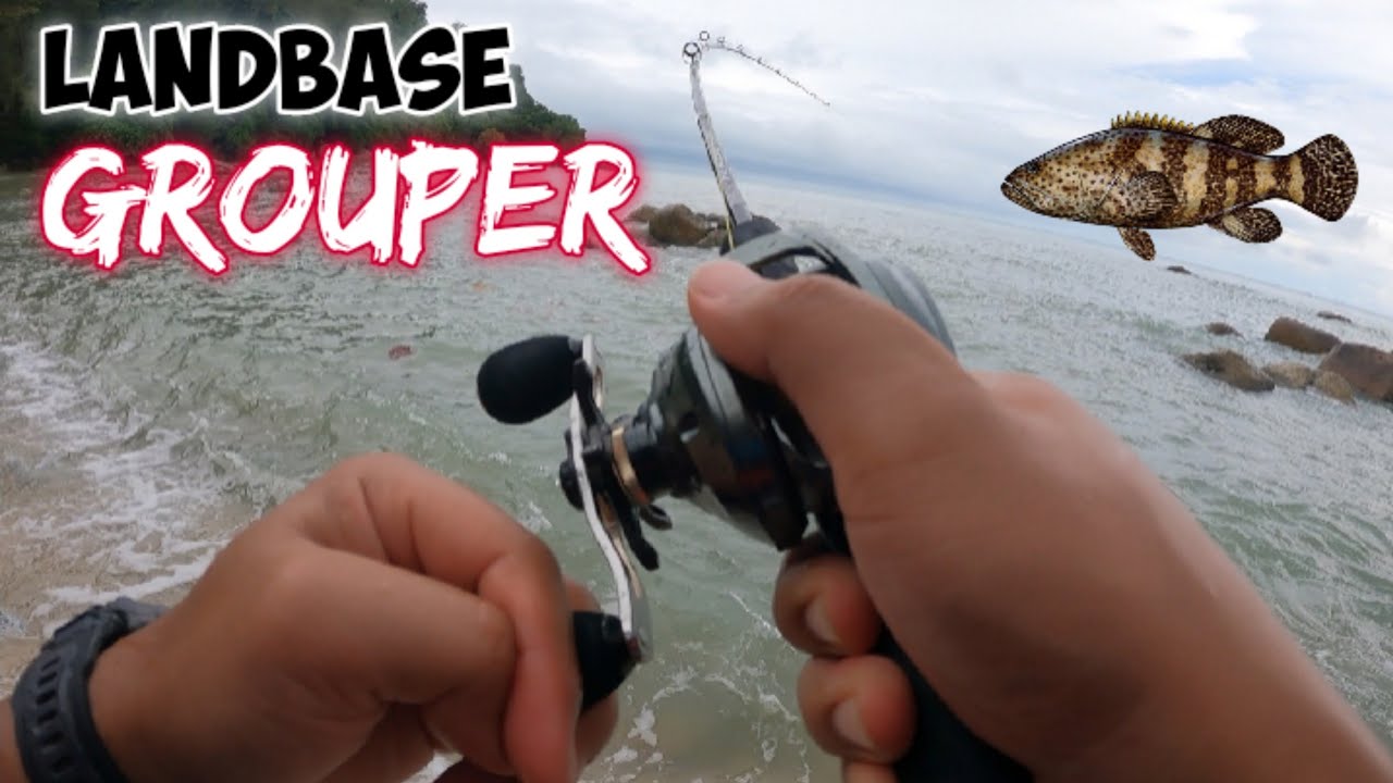 Baby Boron Landbase | Batu Feringghi Penang [ MA#57 ]