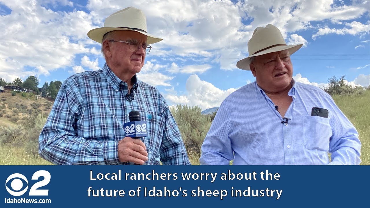 Local ranchers worry about the future of Idaho's sheep industry
