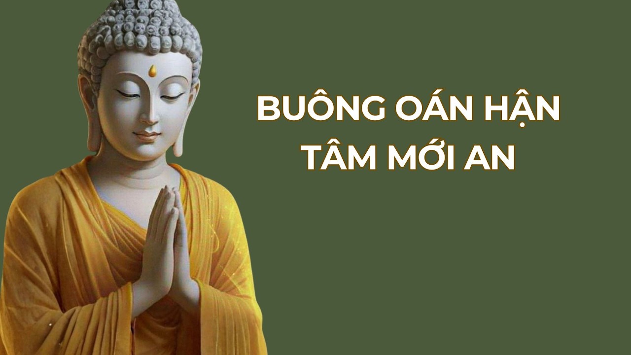 Phản Bội Là Vết Thương, Nhưng Oán Hận Là Xiềng Xích – Cách Buông Để Bình An