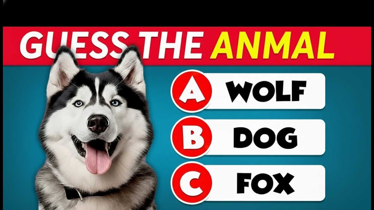 99% Fail This Animal Knowledge Test!