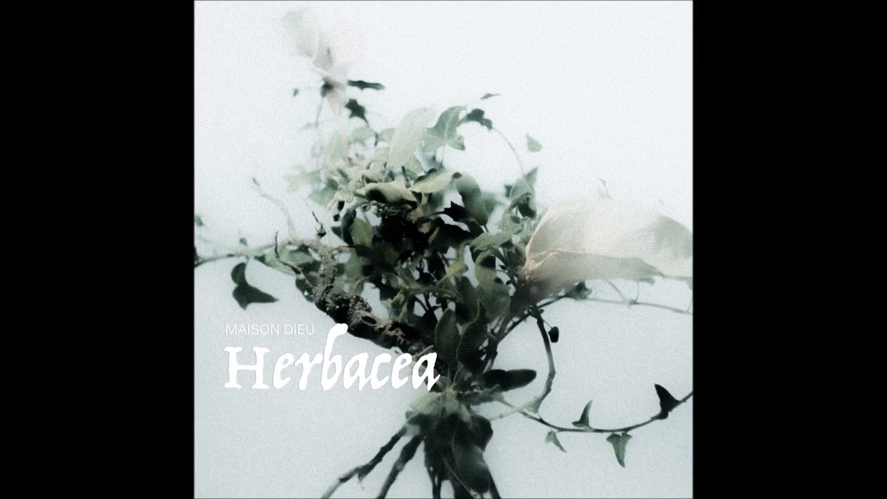 MAISON DIEU - Herbacea EP [FULL ALBUM] 2025
