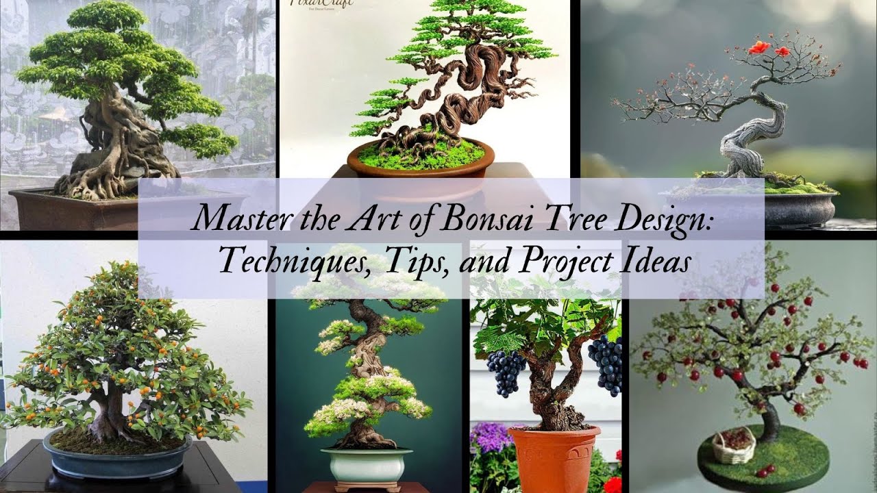 Master the Art of Bonsai Tree Design Techniques, Tips, and Project Ideas