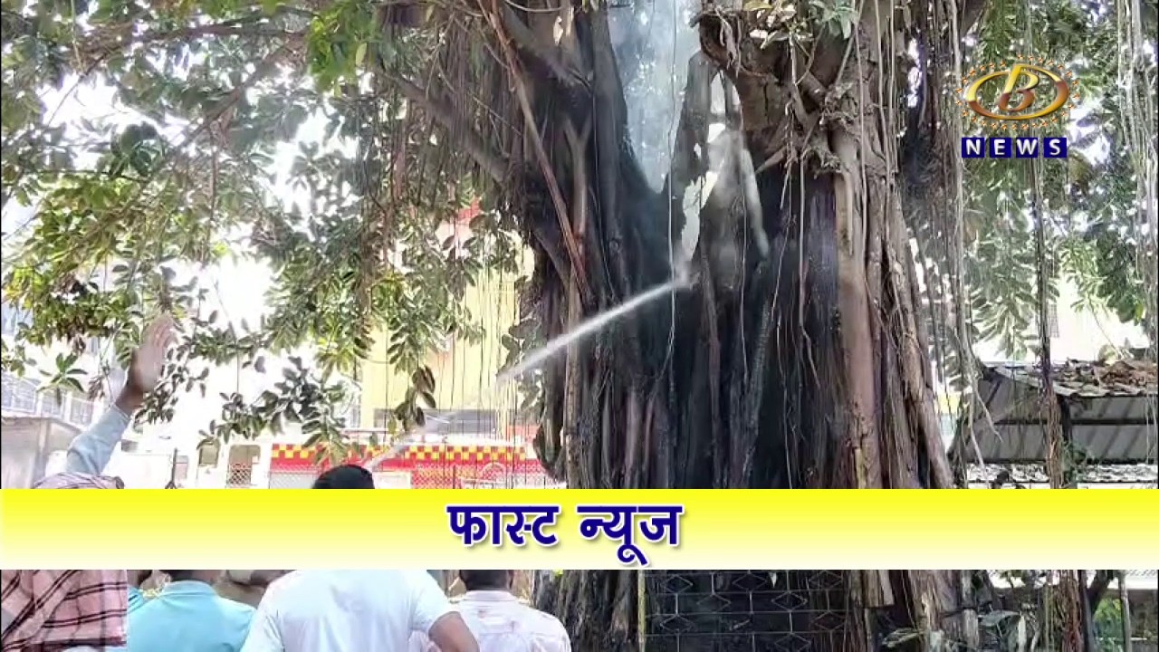 फास्ट न्यूज - २९-०३-२०२६