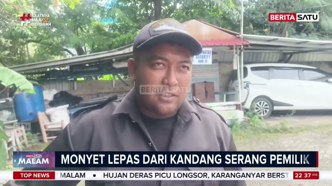 Kandang Jebol, Monyet Peliharaan di Surabaya Serang Pemilik #beritasatu