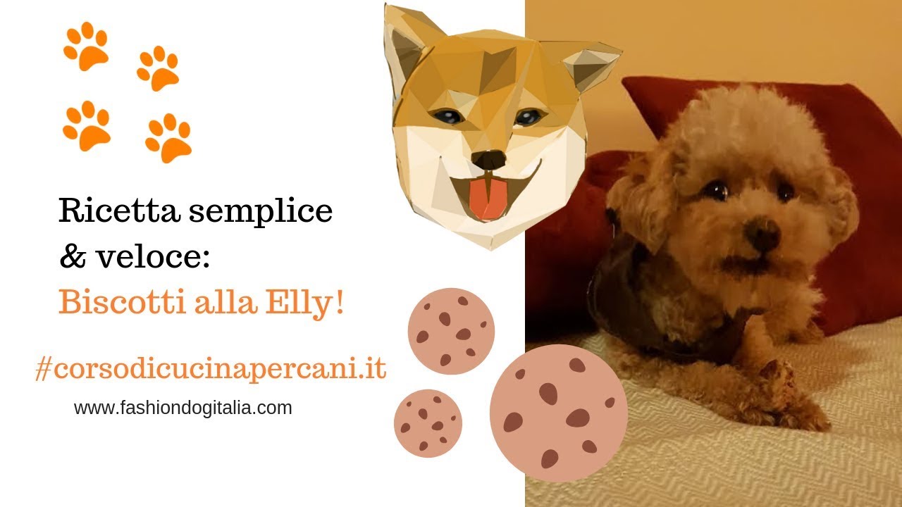 Biscotti per cani alla Elly: Ricetta semplice & veloce!