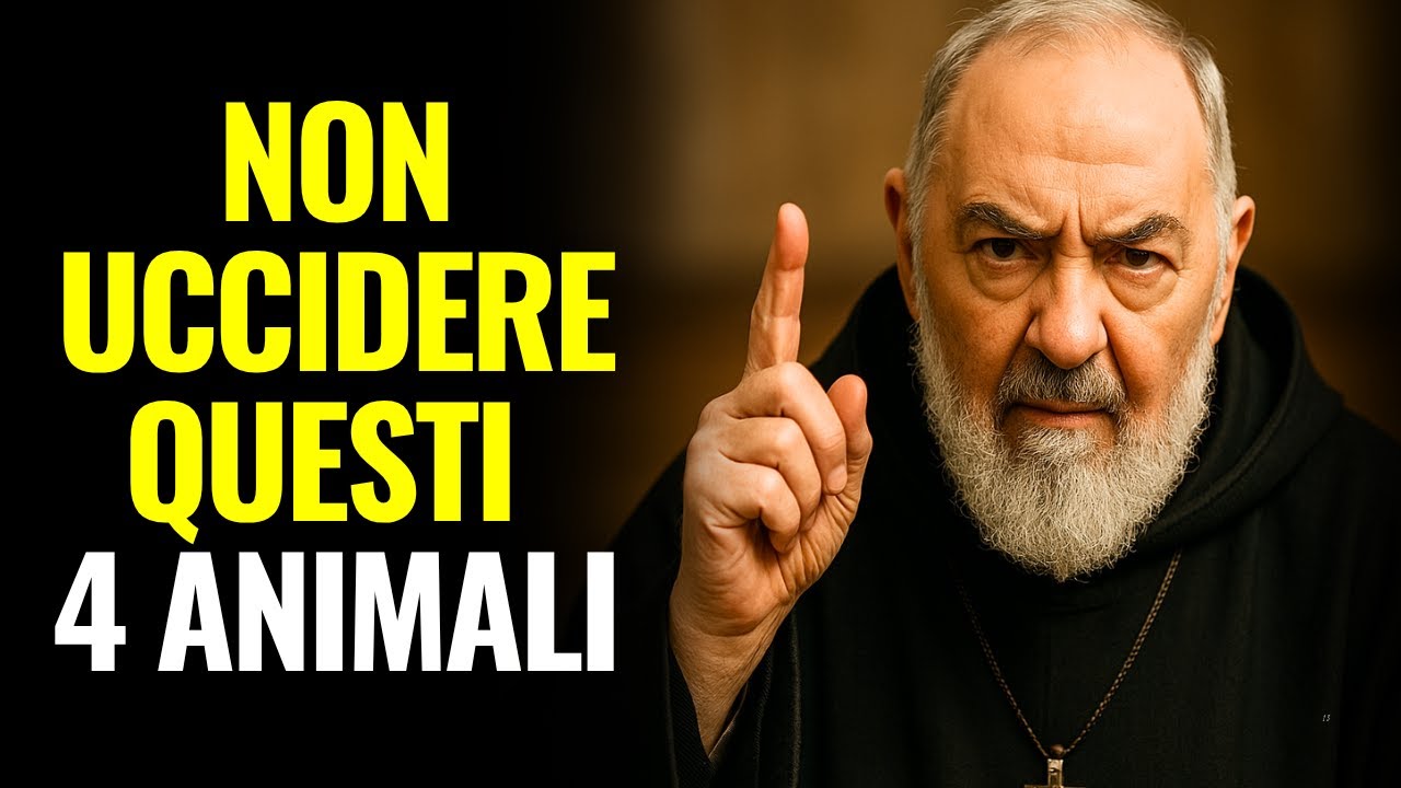 IL TERRIBILE AVVERTIMENTO RICEVUTO DA PADRE PIO: I 4 ANIMALI CHE NESSUN CRISTIANO DOVREBBE UCCIDERE!