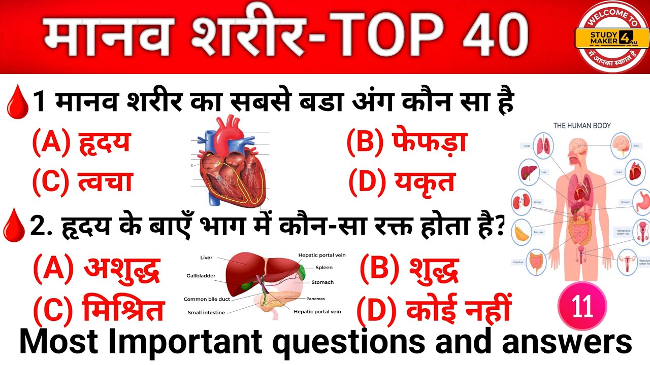 मानव शरीर Gk Questions ||Human Body Important Questions ||For Gov Exams. BSSC RRB BIHAR POLICE