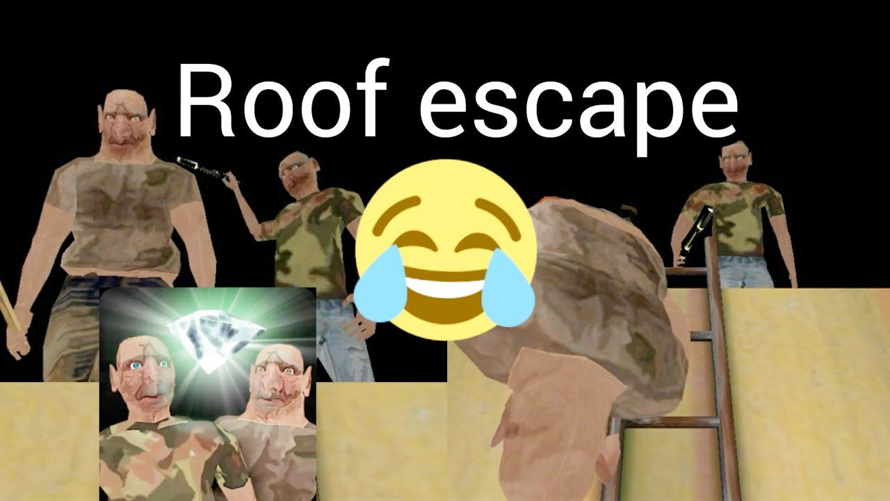 The Twins roof escape ending 😆 ( funny )