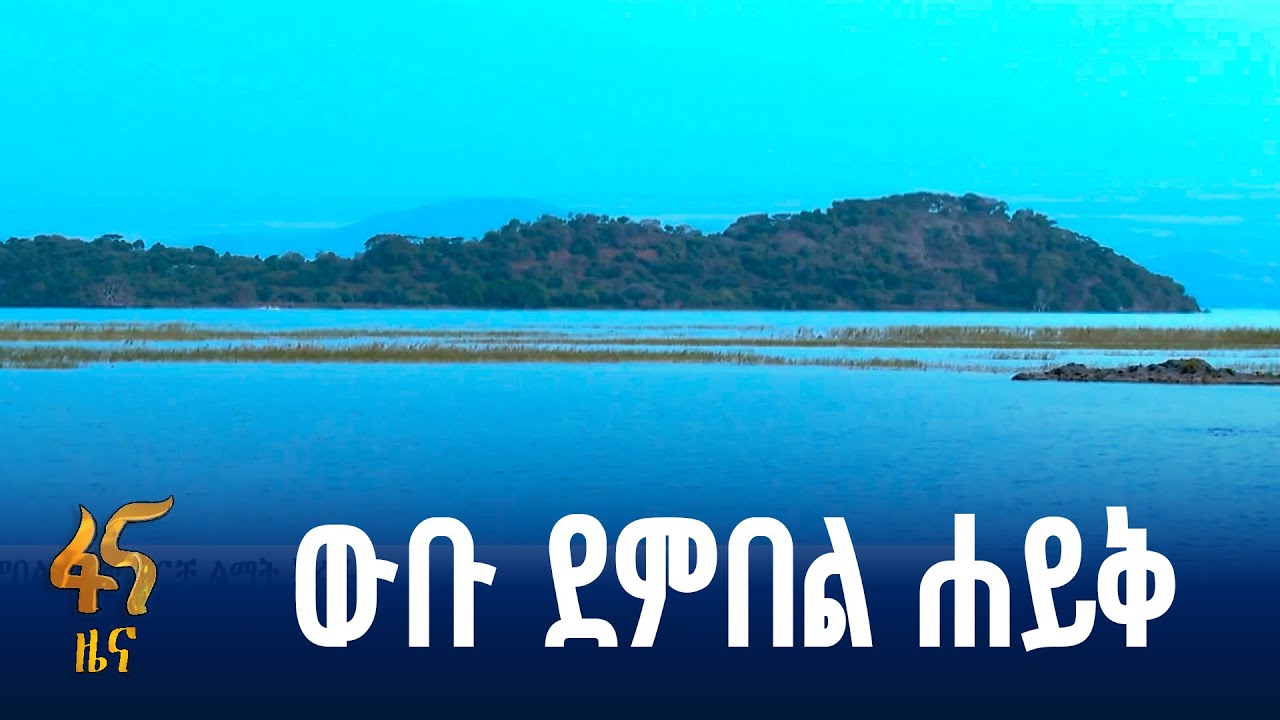 የደምበል ሐይቅ ዳርቻ ልማት