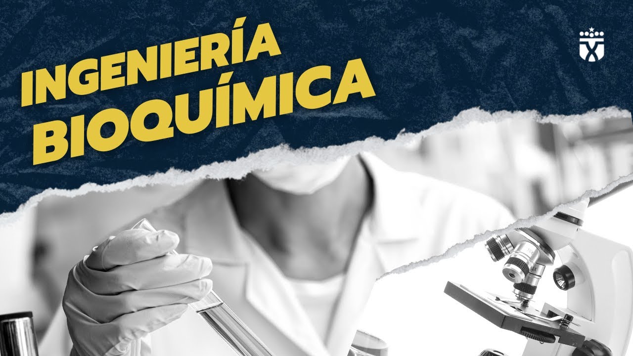 Qué hace un ingeniero en bioquímica 🤔