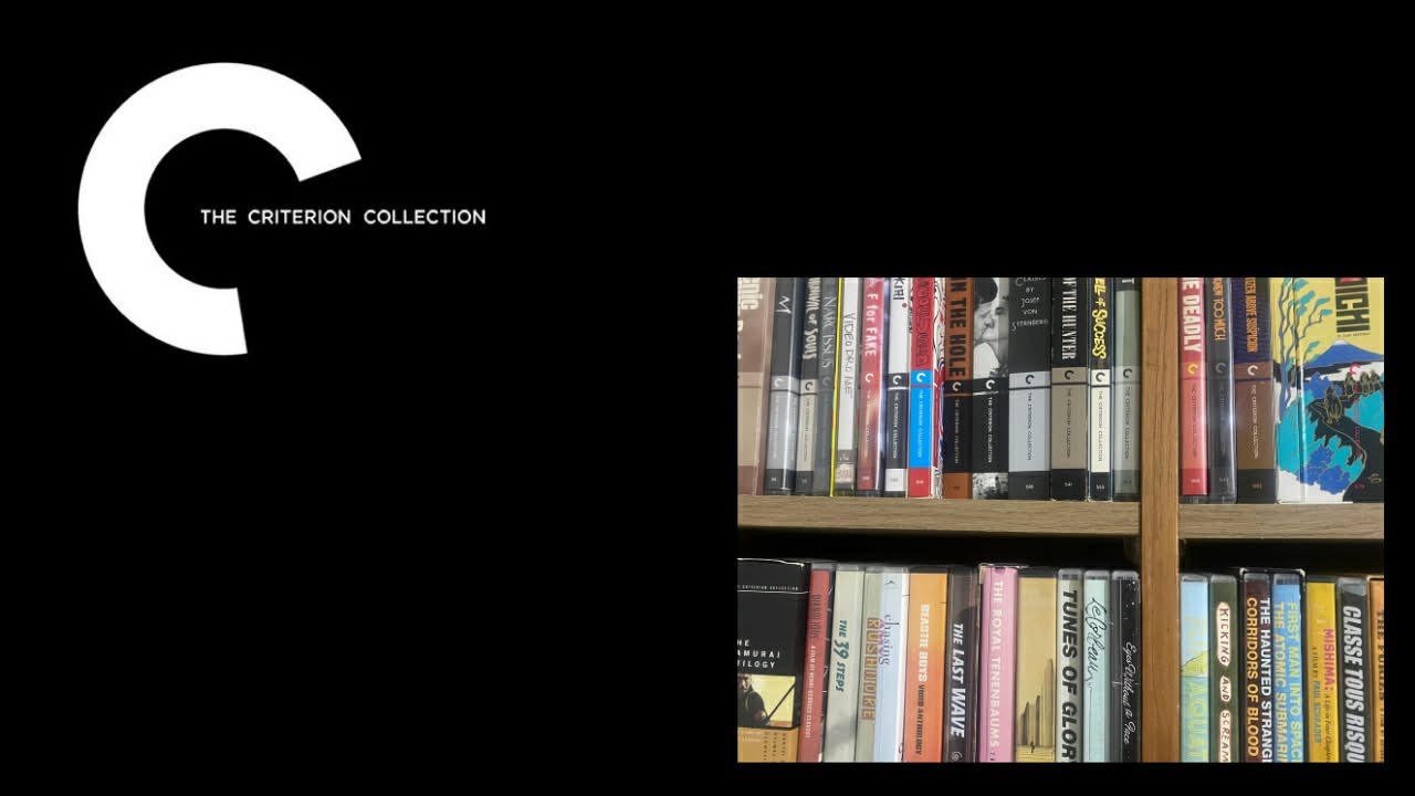 The Criterion Haul Hunt LIVE