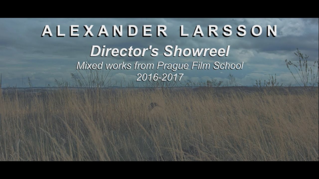 Directors Showreel - Mixed works from Prague Film School 2016 - 2017