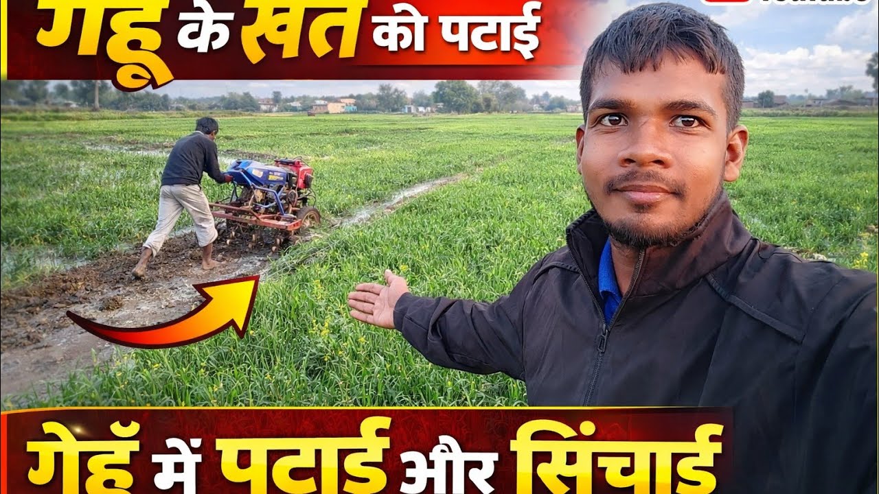 Gehu ka khet ki sichai 😎😎 Aniket Kurmi Panda Bigha 