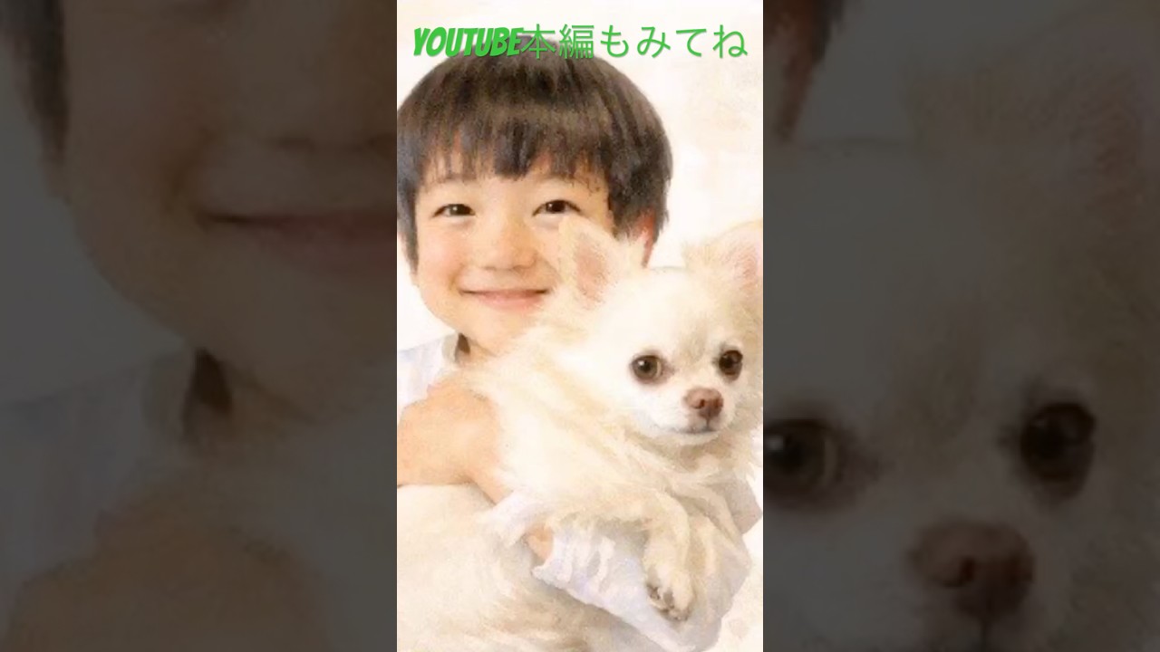 「竹とんぼに」ソプラノ￼独唱￼#日本歌曲#童謡#木下牧子#岸田衿子#子育て