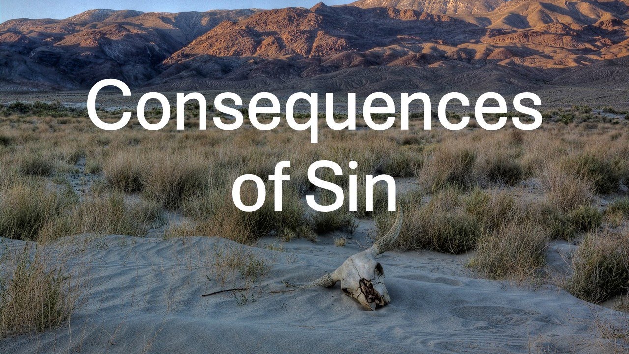 Consequences of Sin (Will Vaughan)
