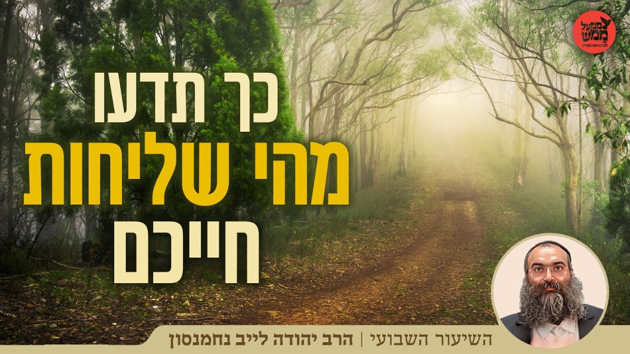 הרב נחמנסון | אלו הסימנים שיספרו לנו את שליחות חיינו