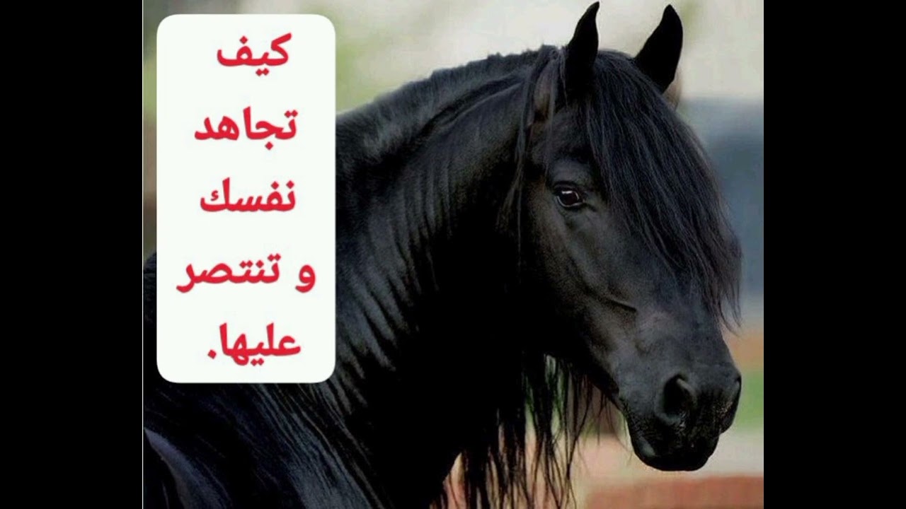 كيف تجاهد نفسك و تنتصر عليها