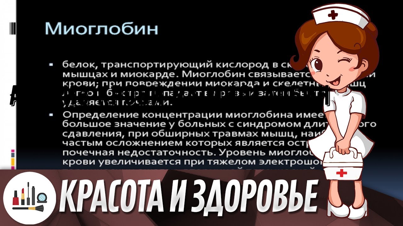Анализ крови на миоглобин