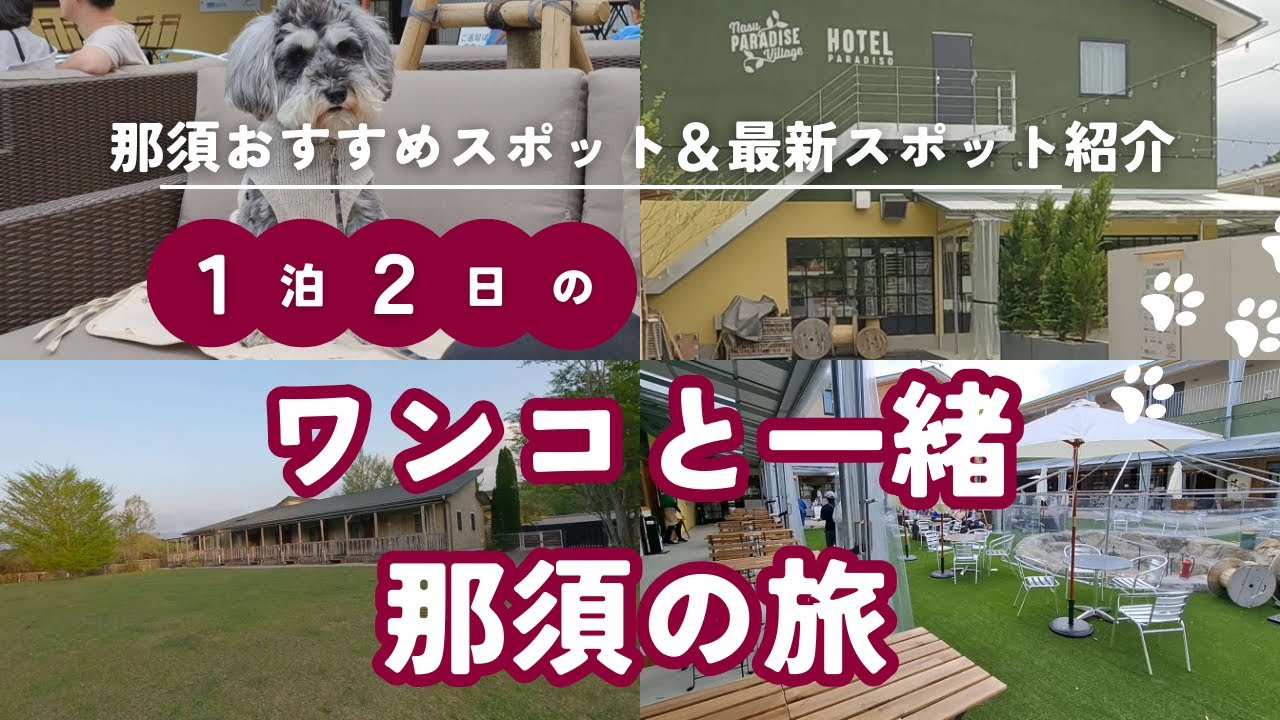 【愛犬と一緒に旅行】那須の最新スポット☆那須パラダイスヴィレッジ/２０年リピしてる愛犬と泊まれる宿/