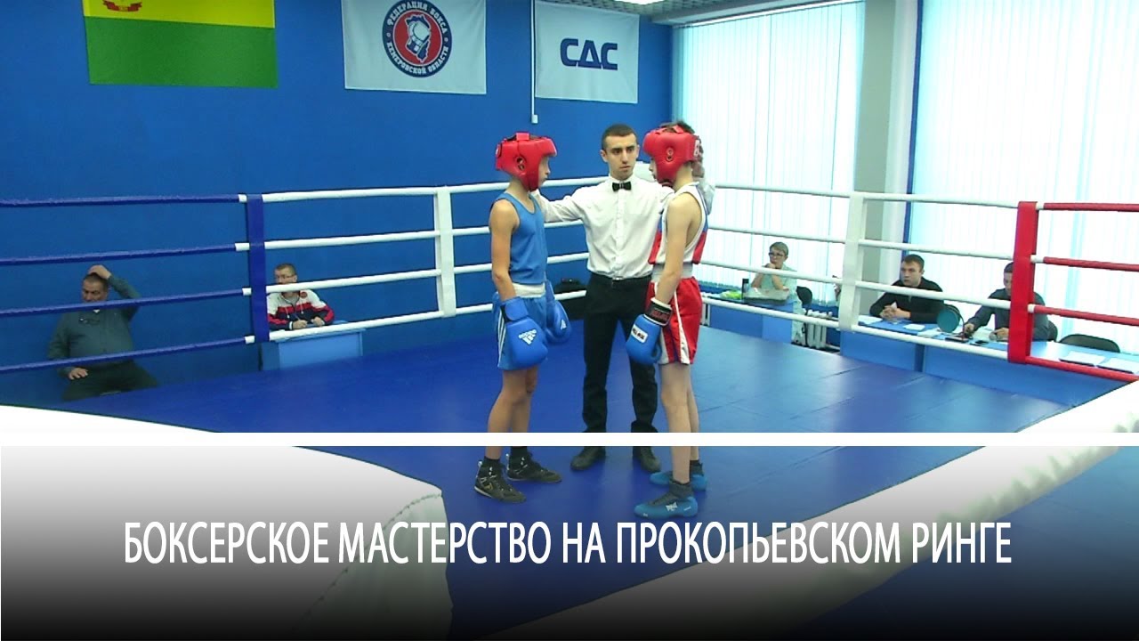 Боксерское мастерство на прокопьевском ринге