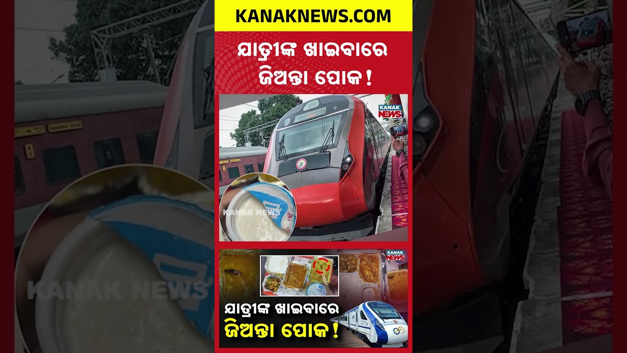 Live Insect Found In Vande Bharat Express Meal | Kanak News Shorts