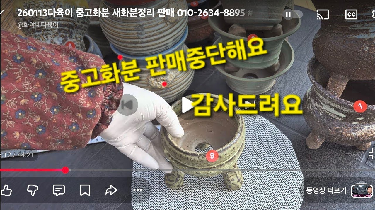 260113다육이 중고화분 새화분정리 판매 010-2634-8895 #화야네다육이 