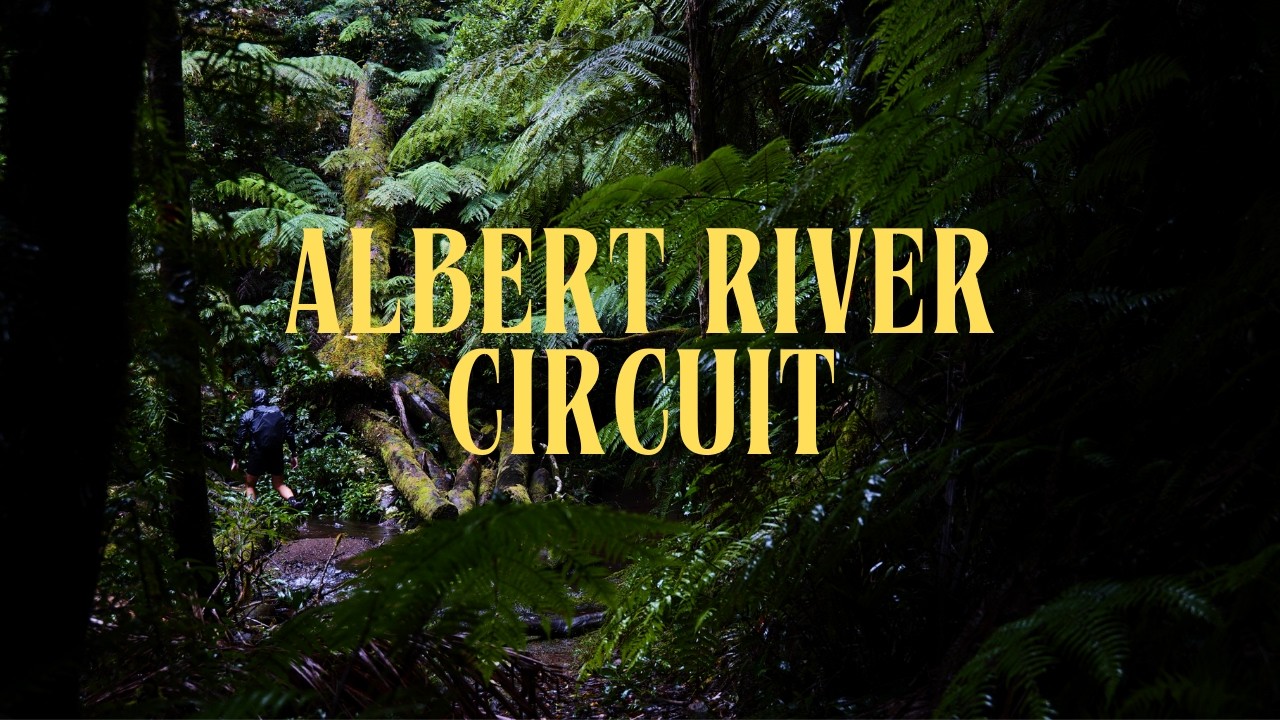 One of Lamington National Park's Most Beautiful Hikes | Albert River Circuit | Solo Hiking in 4K