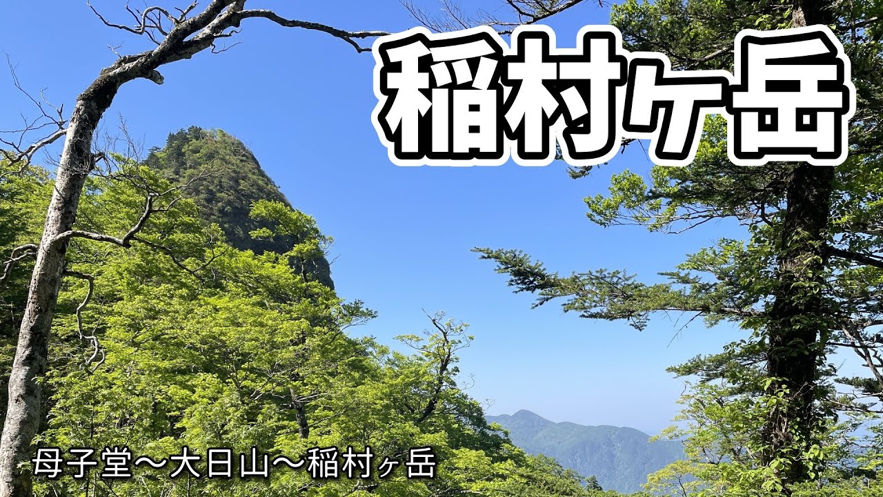 【奈良県/天川村】岩壁に咲く桜色♪女人大峰の彩り♪稲村ヶ岳♪