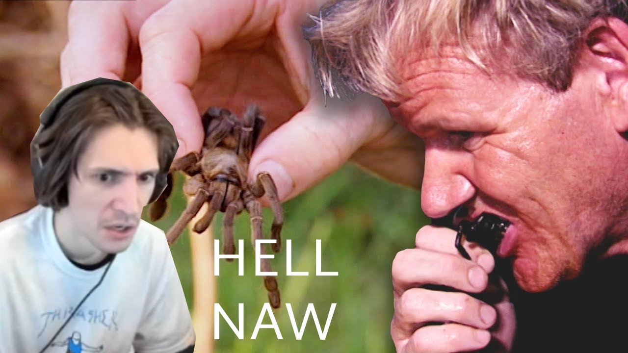 xQc reacts to Gordon Ramsay eating a Fried Spider