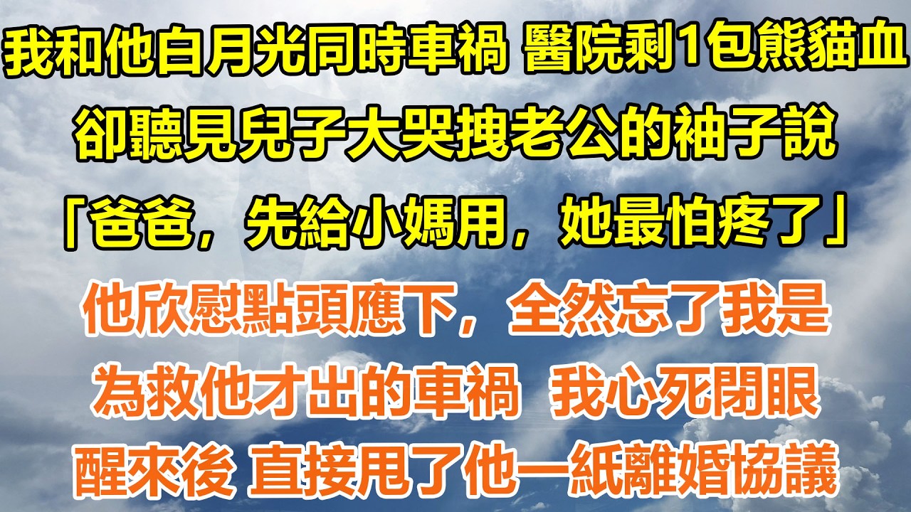 （完結爽文）我和他白月光同時車禍，醫院剩一包熊貓血。卻聽見兒子大哭拽老公的袖子說「爸爸，先給小媽用，她最怕疼了」他欣慰點頭應下，全然忘了我是為救他才出的車禍  我心死閉眼，醒來後直接甩了他一紙離婚協議
