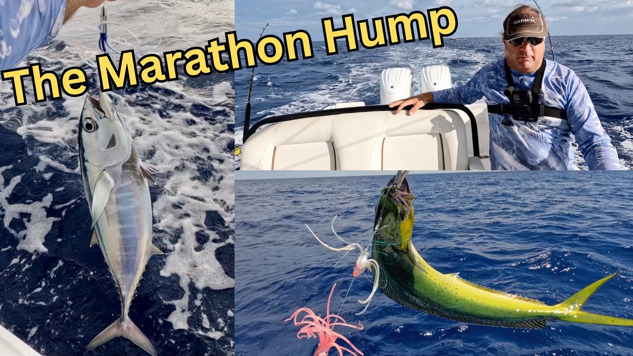 How To Fish Tuna On The Marathon Hump