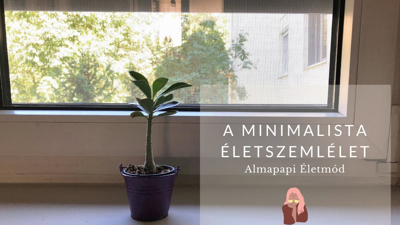 A minimalista &eacute;letszeml&eacute;let | Almapapi &Eacute;letm&oacute;d 50+