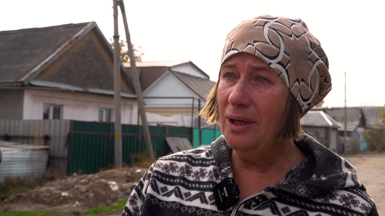 Женщина держит больше 100 собак на 6 сотках // Ссоры, шум и неприятный запах