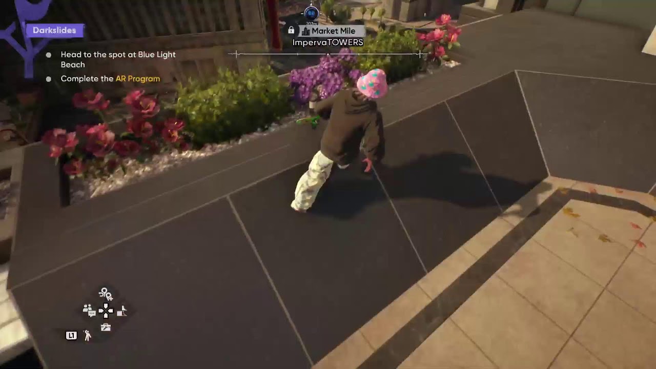 Playing Skate Like A Bum