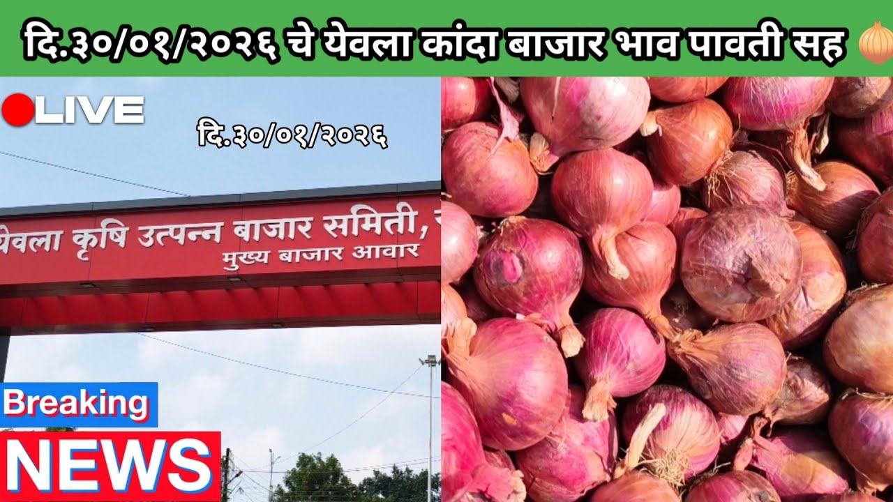 दि.३०/०१/२०२६ चे येवला कांदा बाजार भाव पावती सह 🧅 | Yeola kanda bajar bhav | #yeolakandabhav  