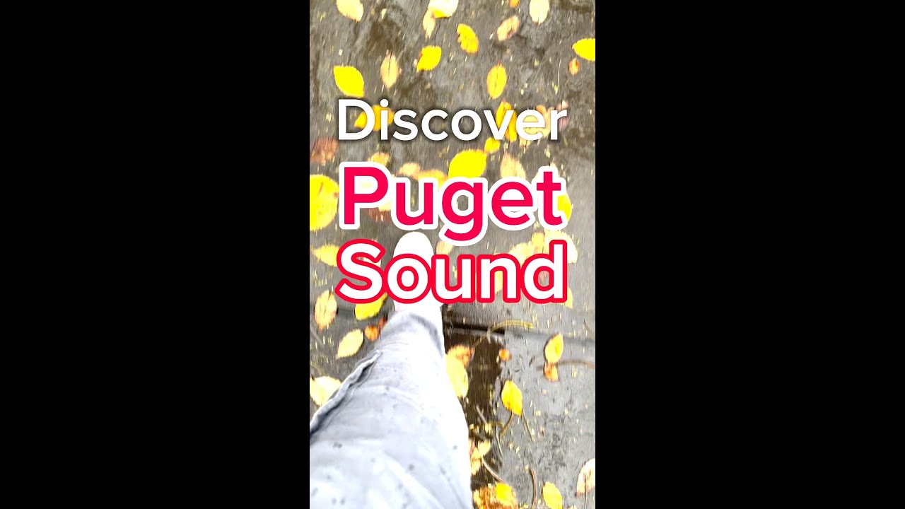 Discover Puget Sound 2024 Recap