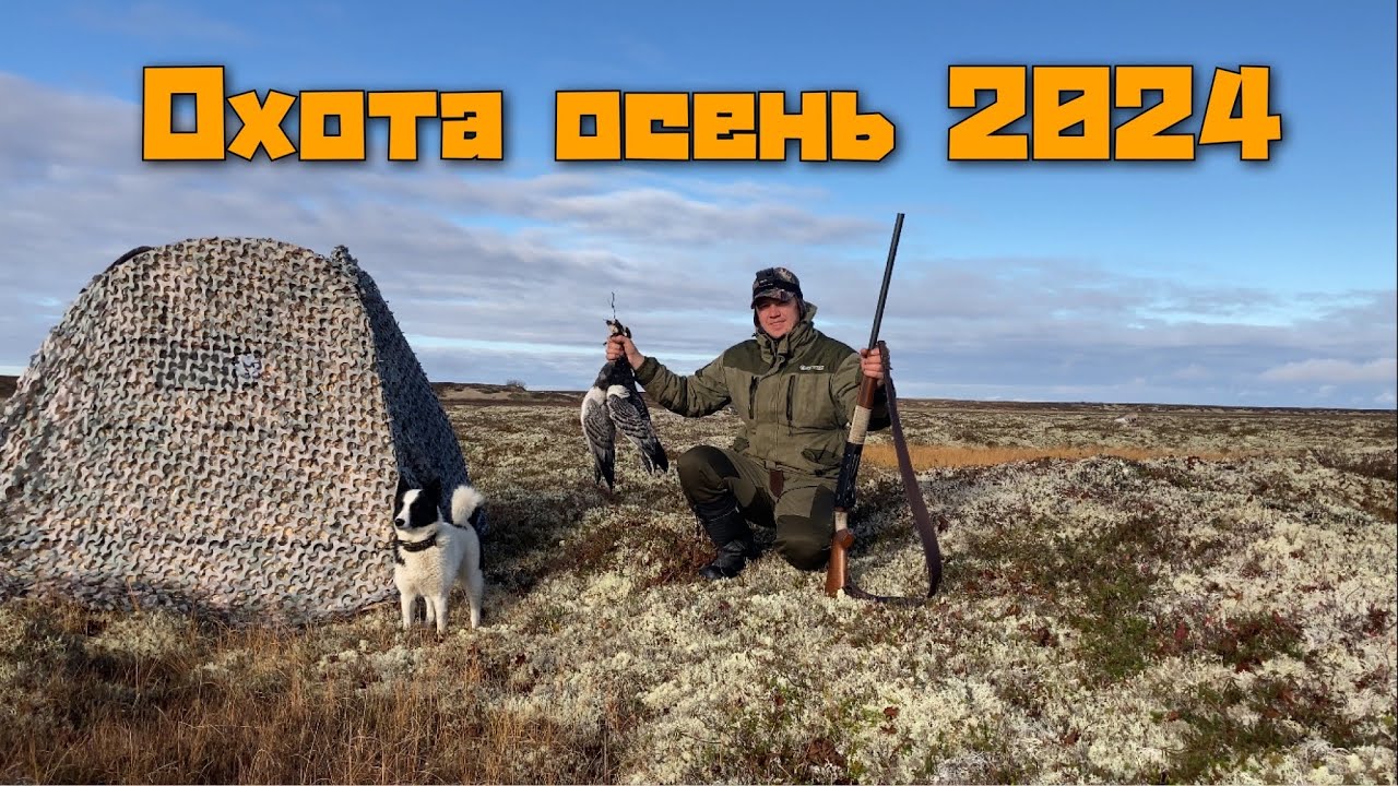 Осенняя охота на гуся 2024, живу в заброшенной избе.