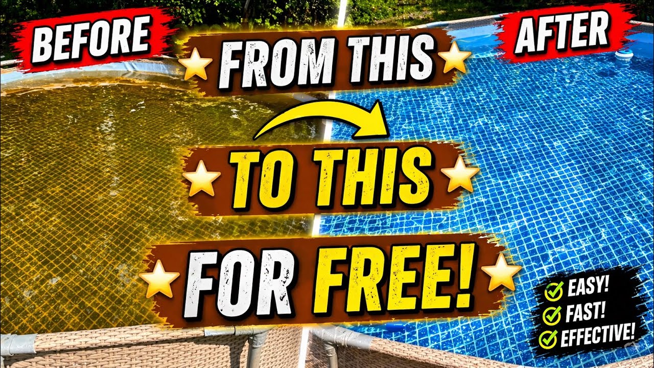 How to get iron / rust out of pool water (well water)