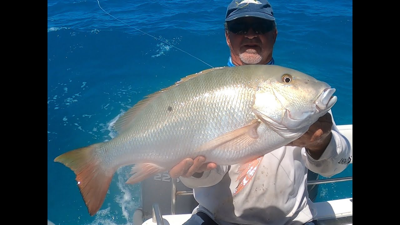 How to Catch Giant Mutton Snapper In Key Largo Shallow Water Patch Reefs Islamorada to Miami