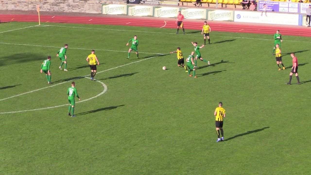 [30.03.2019] VFC Plauen – BSG Chemie Leipzig