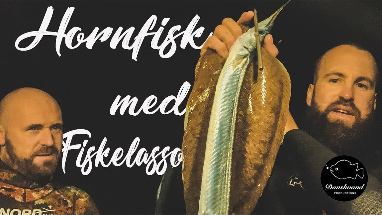 Hornfisk med Fiskelasso - UVjagt