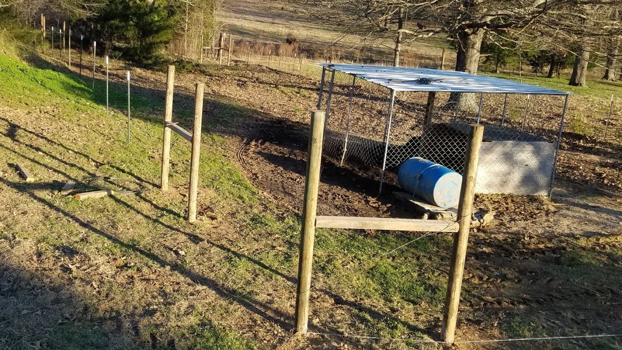 Part 2:Building a 5000 Square ft. Hog Pen