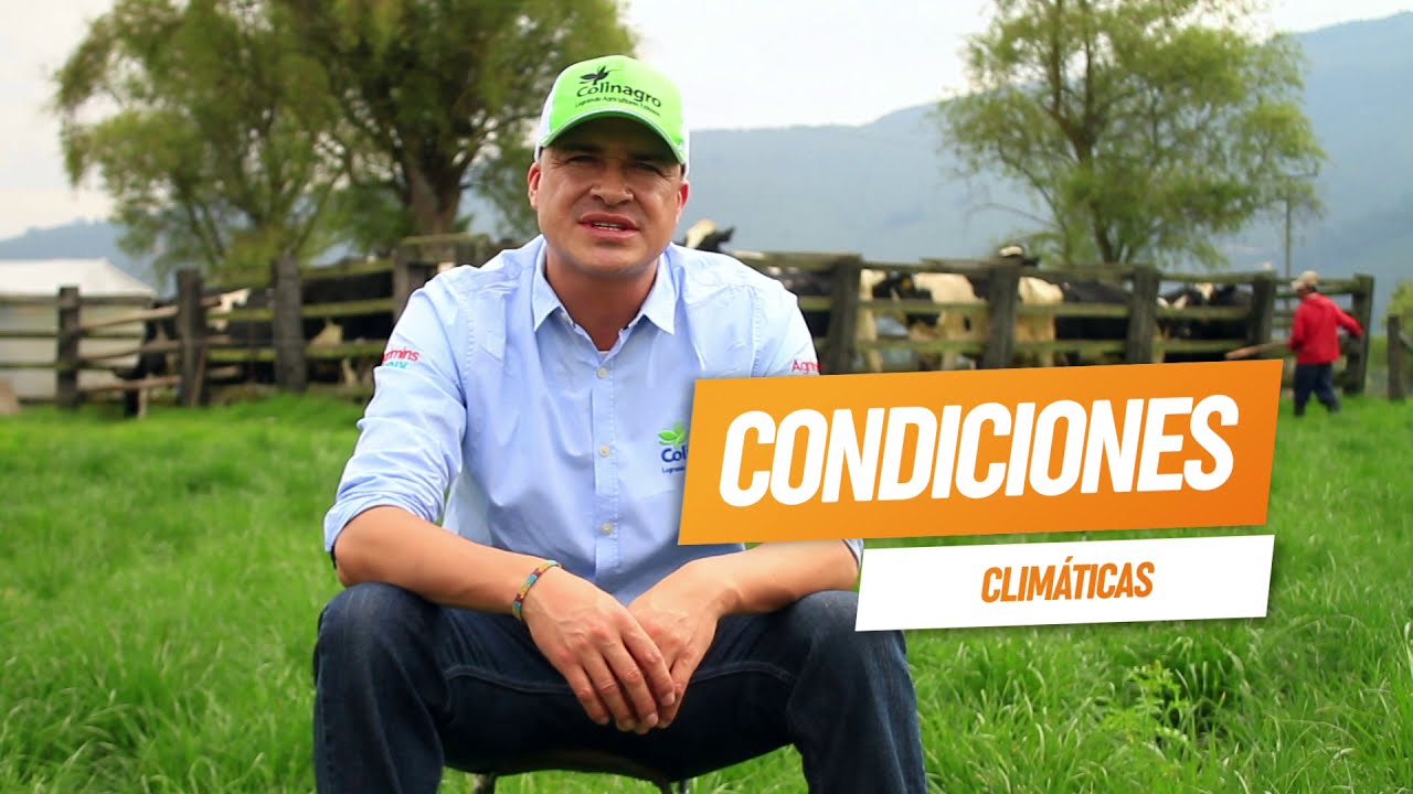 &iquest;C&oacute;mo alcanzar praderas m&aacute;s rentables y abundantes? Nutrici&oacute;n en pastos con Colinagro