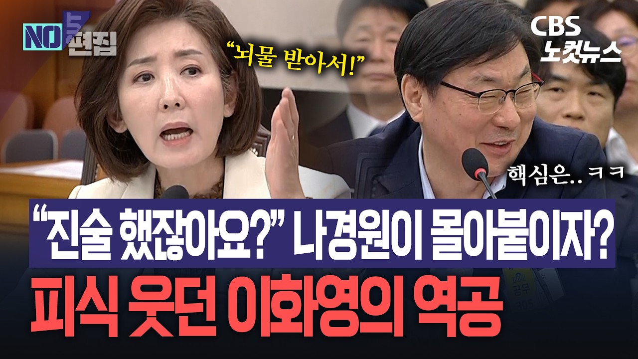 &ldquo;진술 했잖아요?&rdquo; 나경원이 몰아붙이자?...피식 웃던 이화영의 역공