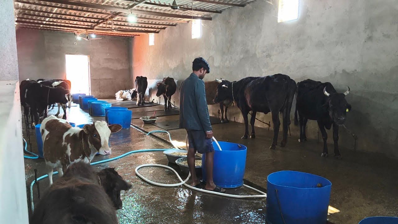 Dram Me Sonu Pani Dal Raha Hai 🥰 March 8, 2026 😅 Day 57