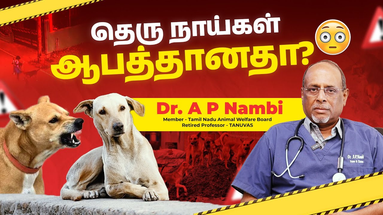 🐕 Street Dogs Behaviour & Rabies Awareness - Dr. A P Nambi 🩺