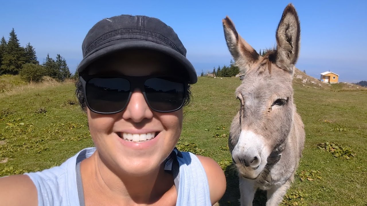 Romania Road Trip Day 7 - 7 Ladders Canyon, Lunch With Donkeys
