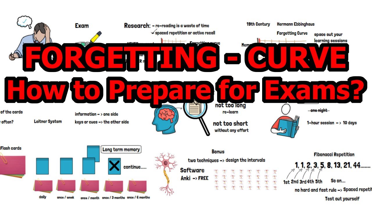 Spaced Repetition | Active Recall &ndash; Based on Forgetting Curve & Leitner System
